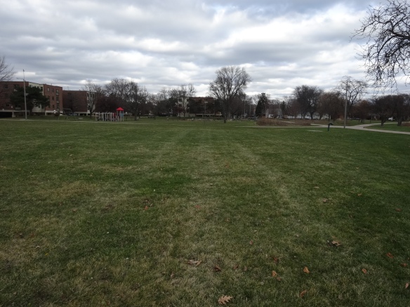 View from the proposed site of the new playground with the existing playground and garden in the background. 